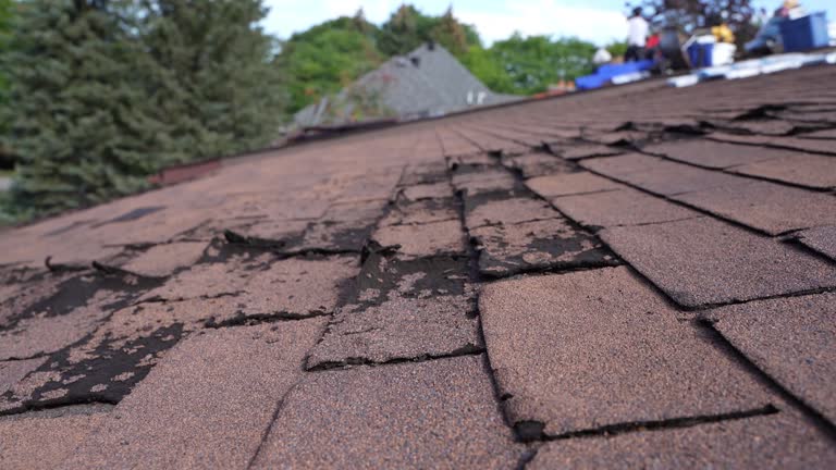 Best Emergency Roof Repair Services  in Buckhannon, WV