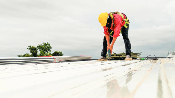 Best Roof Maintenance and Cleaning  in Buckhannon, WV