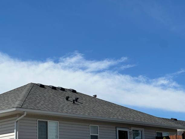 Best Roof Installation  in Buckhannon, WV